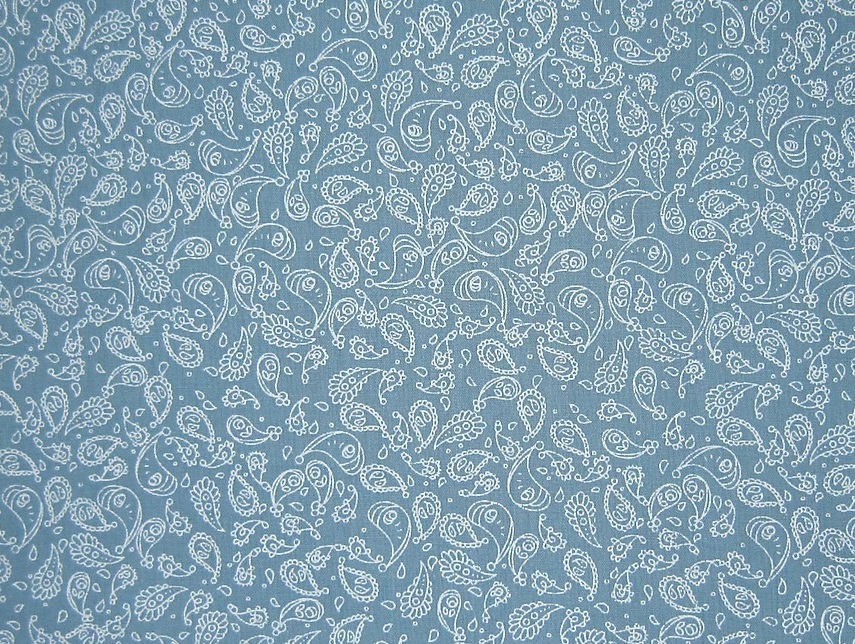 Polyester Cotton Print Paisley Wedgewood Blue